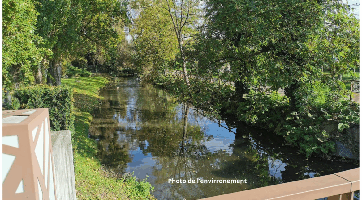 photo_e24e48455d0125656406cb95772847aa